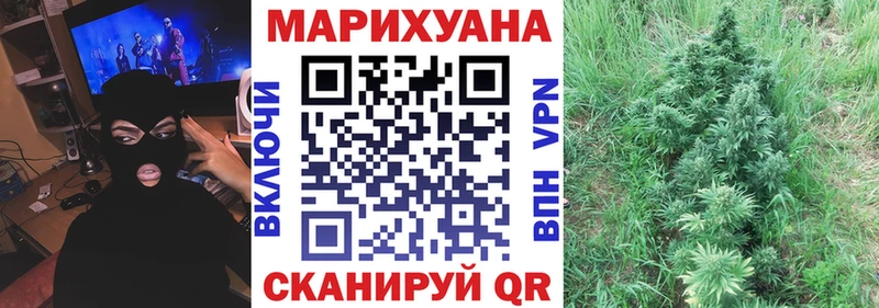 Купить закладки  Барнаул  Каннабис индика 